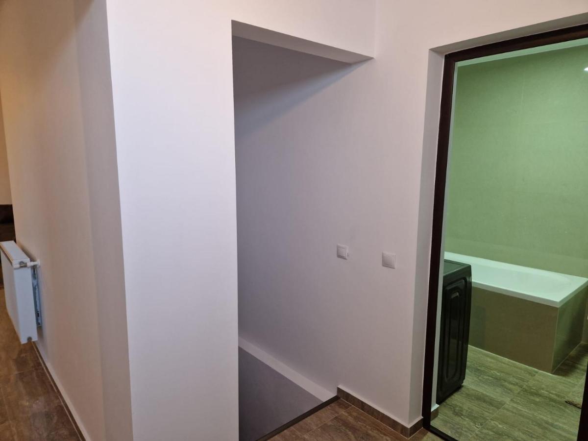 Appartement Danube à Brăila Extérieur photo