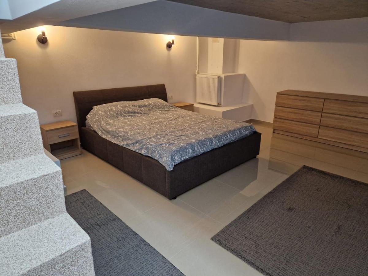 Appartement Danube à Brăila Extérieur photo