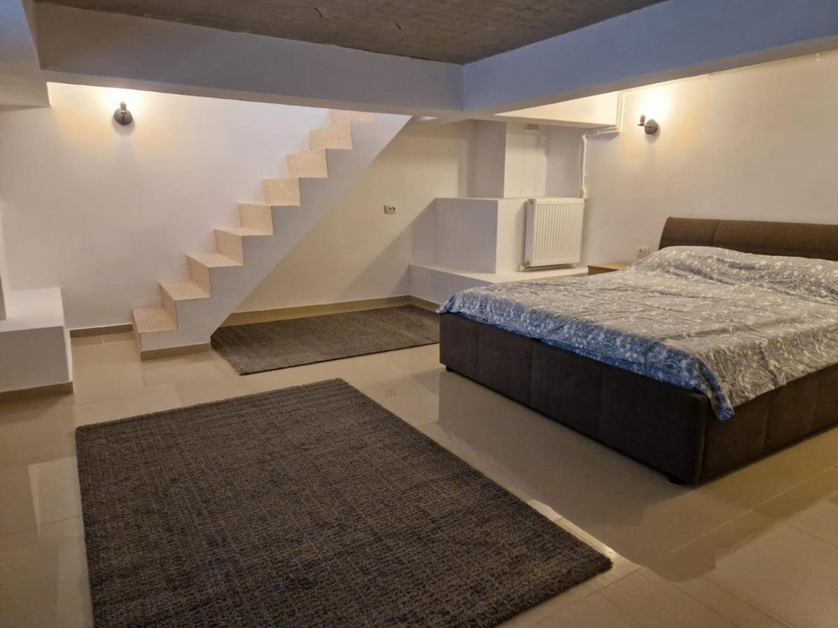 Appartement Danube à Brăila Extérieur photo