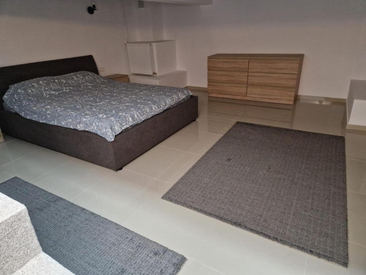 Appartement Danube à Brăila Extérieur photo